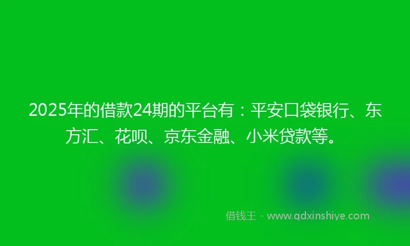 2025年的借款24期的平台有：平安口袋银行、东方汇、花呗、京东金融、小米贷款等。