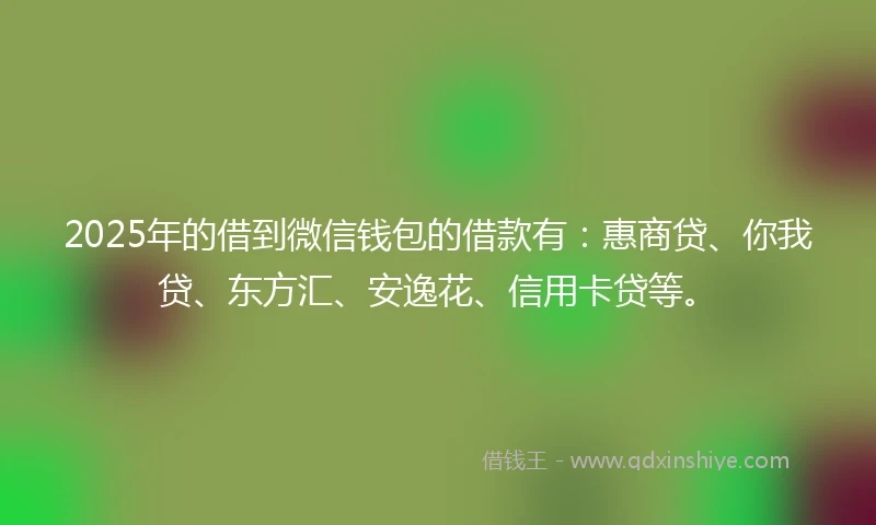 2025年的借到微信钱包的借款有：惠商贷、你我贷、东方汇、安逸花、信用卡贷等。