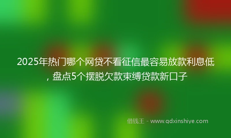 2025年热门哪个网贷不看征信最容易放款利息低,盘点5个摆脱欠款束缚贷款新口子