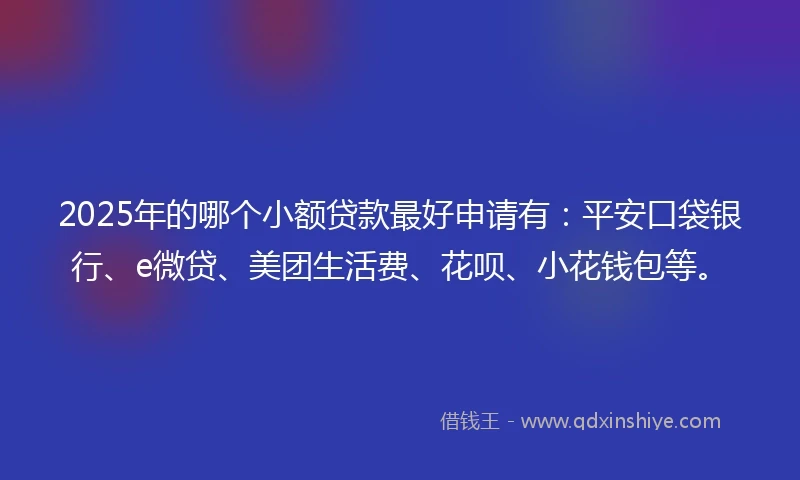 2025年的哪个小额贷款最好申请有：平安口袋银行、e微贷、美团生活费、花呗、小花钱包等。