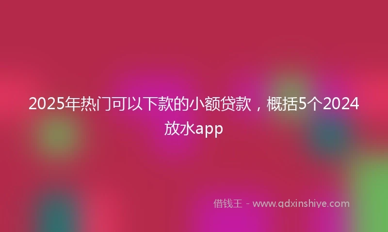 2025年热门可以下款的小额贷款，概括5个2024放水app