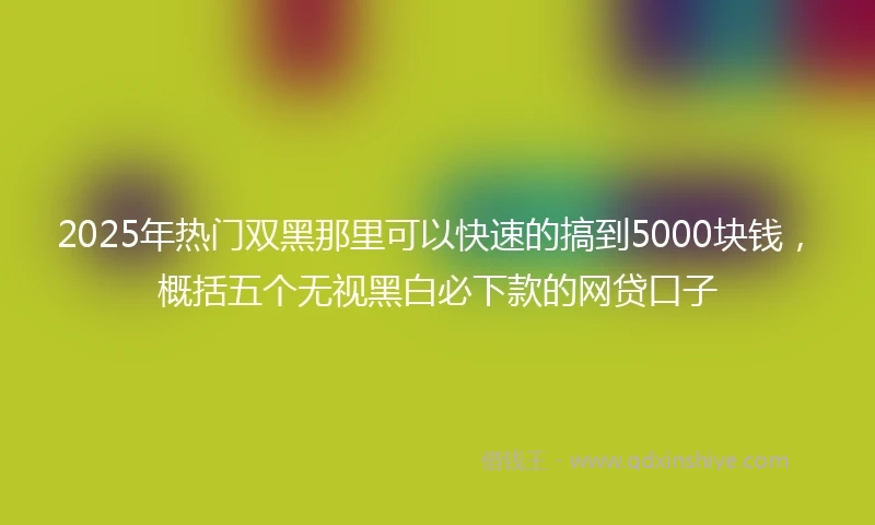 2025年热门双黑那里可以快速的搞到5000块钱,概括五个无视黑白必下款的网贷口子