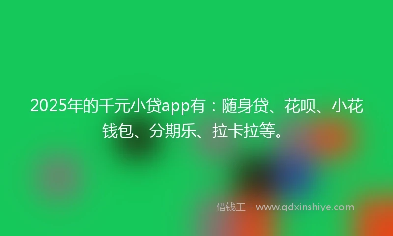 2025年的千元小贷app有：随身贷、花呗、小花钱包、分期乐、拉卡拉等。