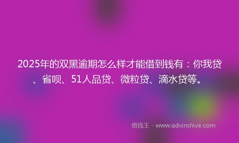 2025年的双黑逾期怎么样才能借到钱有：你我贷、省呗、51人品贷、微粒贷、滴水贷等。