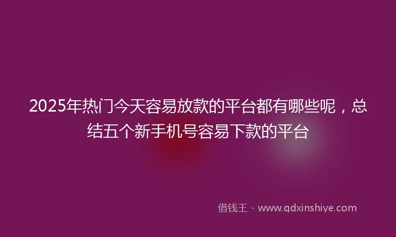 2025年热门今天容易放款的平台都有哪些呢，总结五个新手机号容易下款的平台