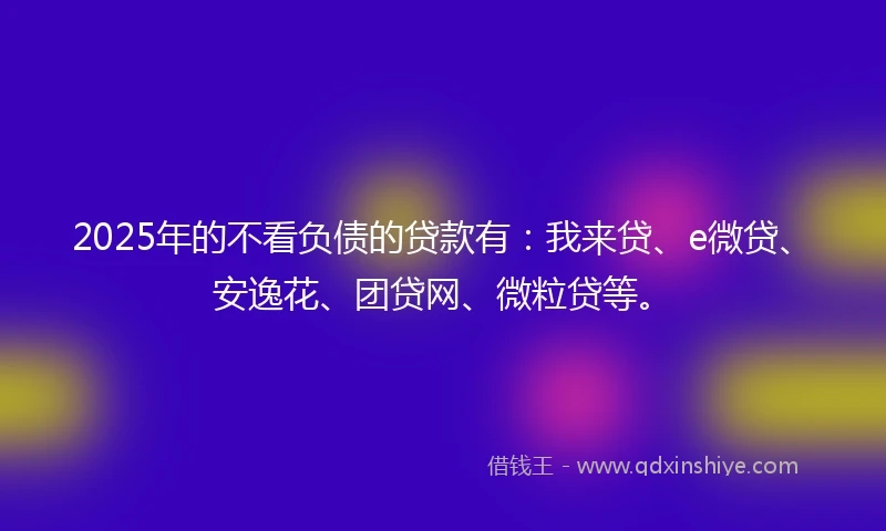 2025年的不看负债的贷款有：我来贷、e微贷、安逸花、团贷网、微粒贷等。