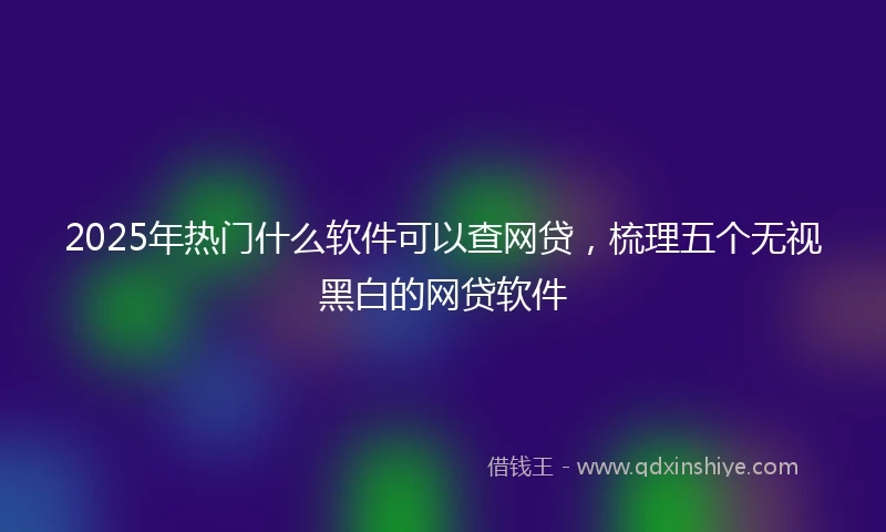 2025年热门什么软件可以查网贷，梳理五个无视黑白的网贷软件