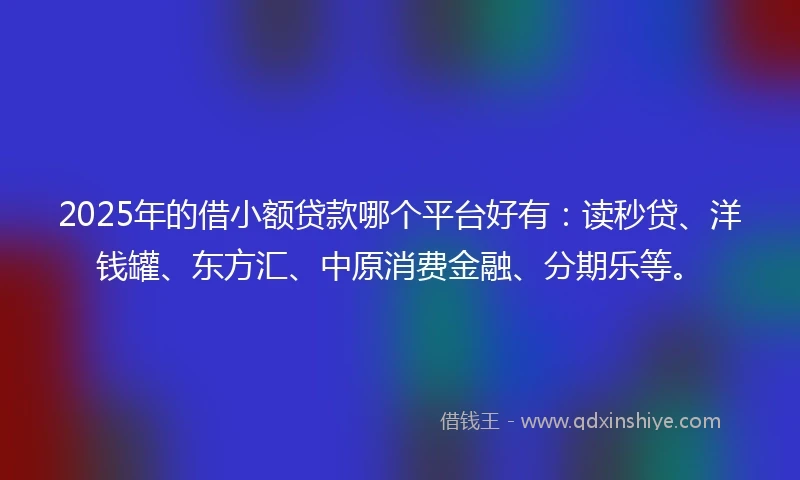 2025年的借小额贷款哪个平台好有：读秒贷、洋钱罐、东方汇、中原消费金融、分期乐等。