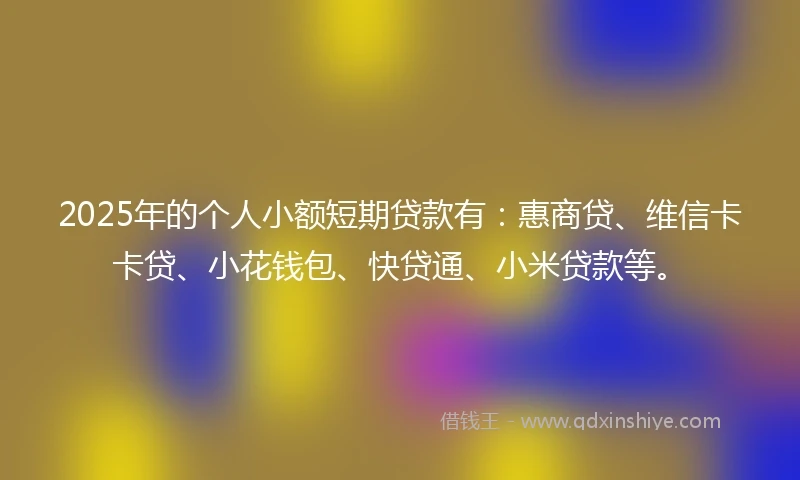 2025年的个人小额短期贷款有:惠商贷、维信卡卡贷、小花钱包、快贷通、小米贷款等。