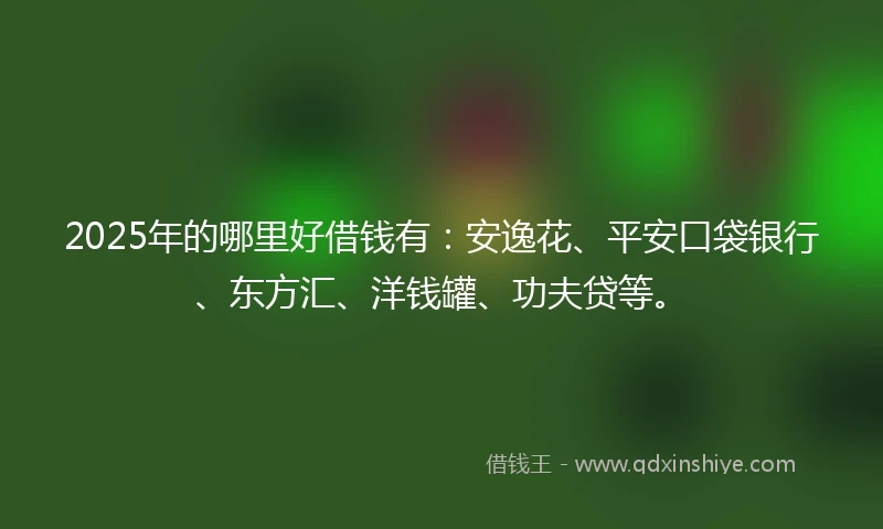 2025年的哪里好借钱有：安逸花、平安口袋银行、东方汇、洋钱罐、功夫贷等。