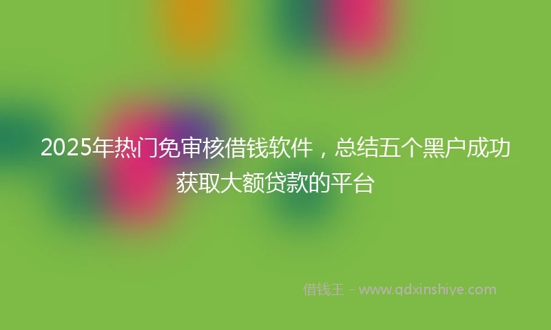2025年热门免审核借钱软件，总结五个黑户成功获取大额贷款的平台