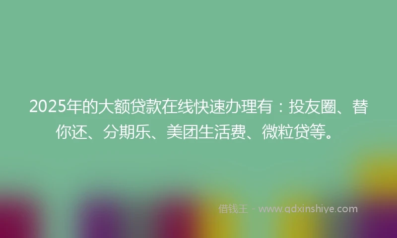 2025年的大额贷款在线快速办理有：投友圈、替你还、分期乐、美团生活费、微粒贷等。