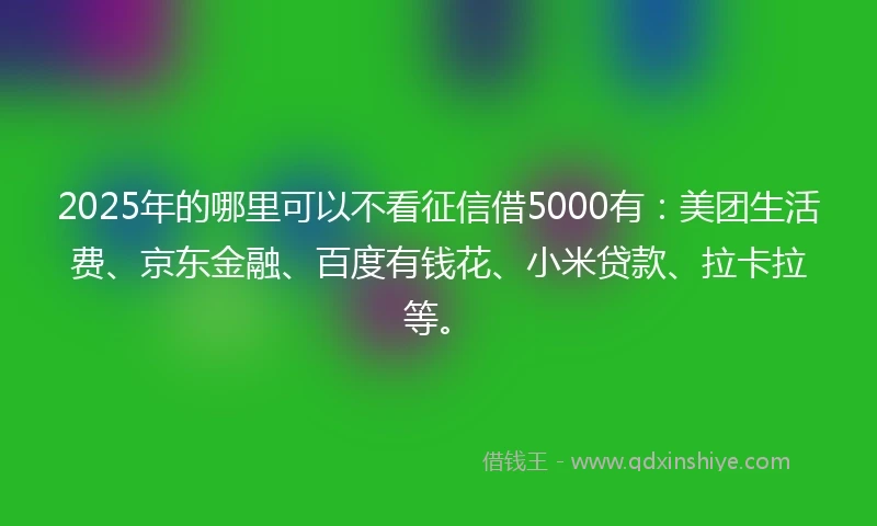 2025年的哪里可以不看征信借5000有：美团生活费、京东金融、百度有钱花、小米贷款、拉卡拉等。