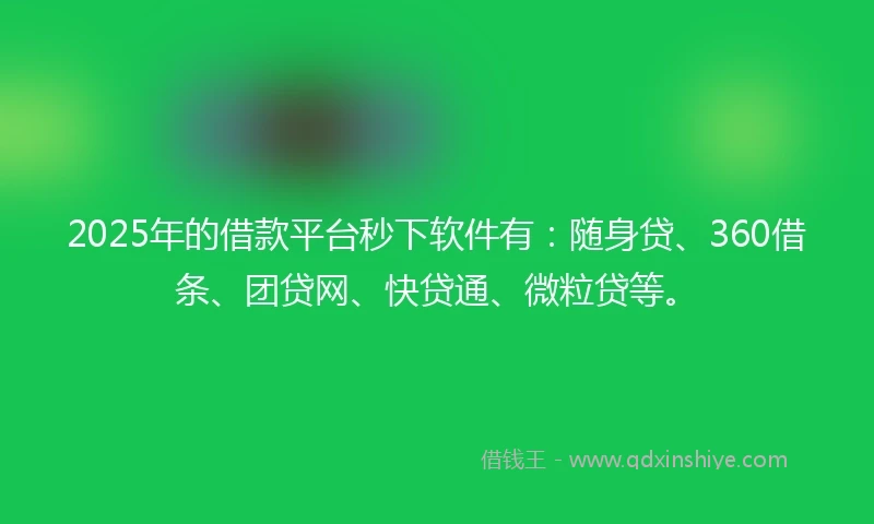 2025年的借款平台秒下软件有:随身贷、360借条、团贷网、快贷通、微粒贷等。