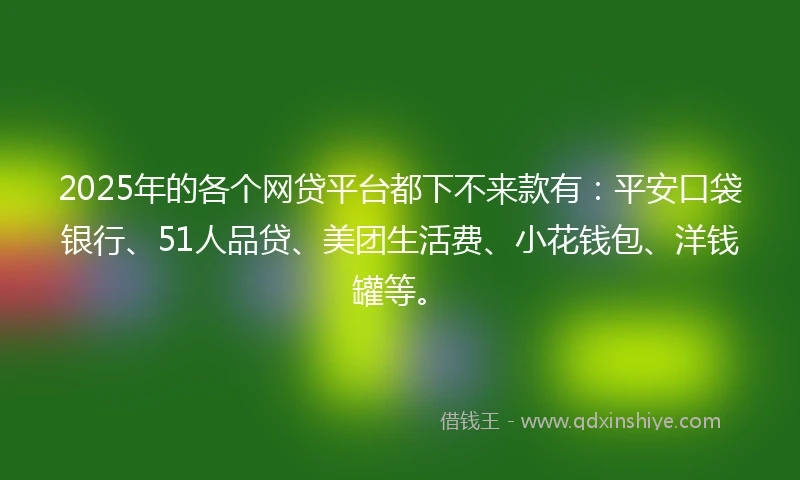 2025年的各个网贷平台都下不来款有：平安口袋银行、51人品贷、美团生活费、小花钱包、洋钱罐等。