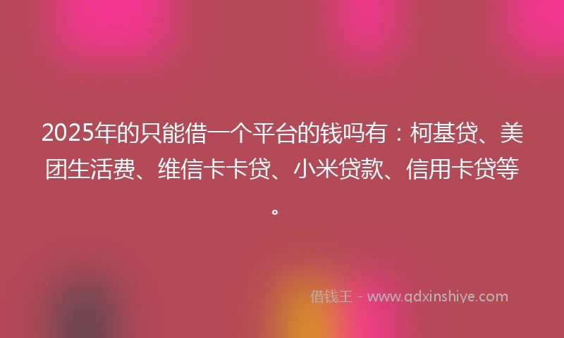2025年的只能借一个平台的钱吗有：柯基贷、美团生活费、维信卡卡贷、小米贷款、信用卡贷等。