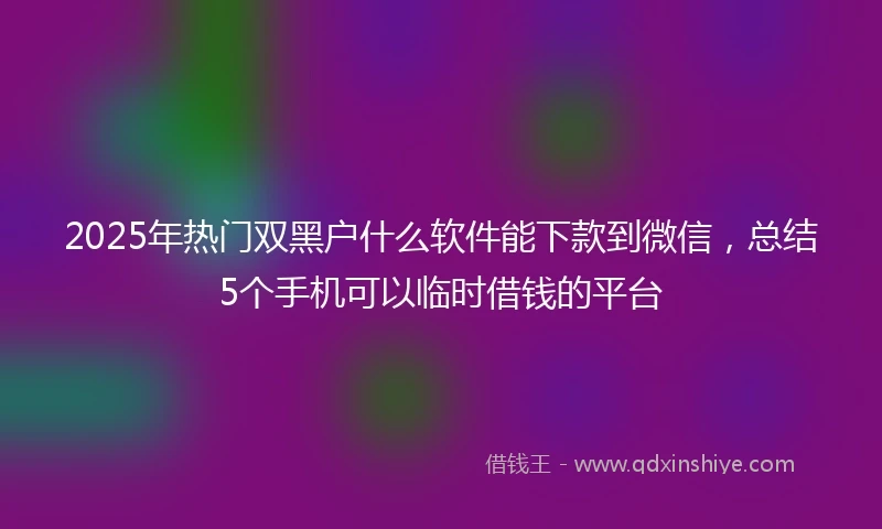 2025年热门双黑户什么软件能下款到微信，总结5个手机可以临时借钱的平台