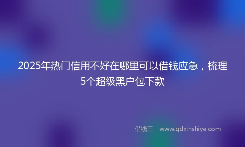 2025年热门信用不好在哪里可以借钱应急，梳理5个超级黑户包下款