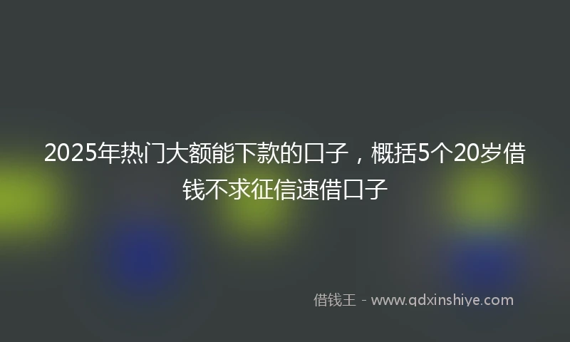 2025年热门大额能下款的口子，概括5个20岁借钱不求征信速借口子