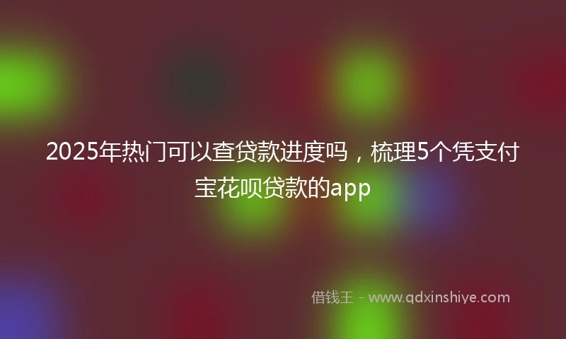 2025年热门可以查贷款进度吗,梳理5个凭支付宝花呗贷款的app
