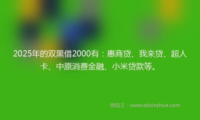 2025年的双黑借2000有：惠商贷、我来贷、超人卡、中原消费金融、小米贷款等。