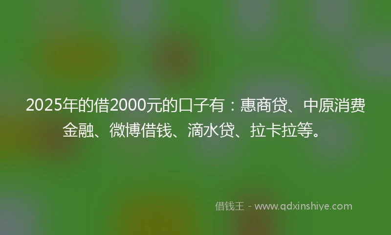 2025年的借2000元的口子有：惠商贷、中原消费金融、微博借钱、滴水贷、拉卡拉等。