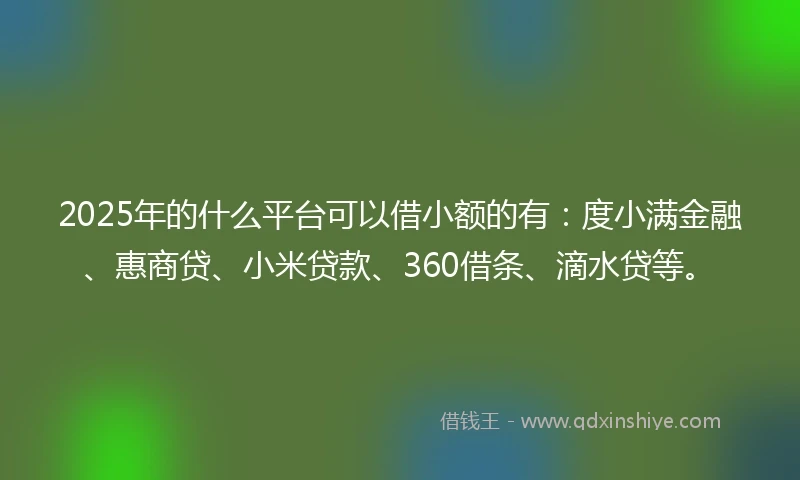 2025年的什么平台可以借小额的有：度小满金融、惠商贷、小米贷款、360借条、滴水贷等。