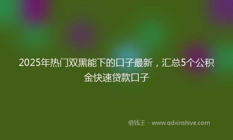 2025年热门双黑能下的口子最新，汇总5个公积金快速贷款口子