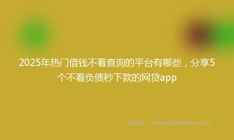 2025年热门借钱不看查询的平台有哪些，分享5个不看负债秒下款的网贷app