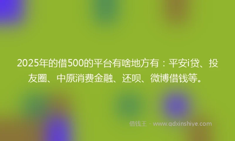 2025年的借500的平台有啥地方有：平安i贷、投友圈、中原消费金融、还呗、微博借钱等。