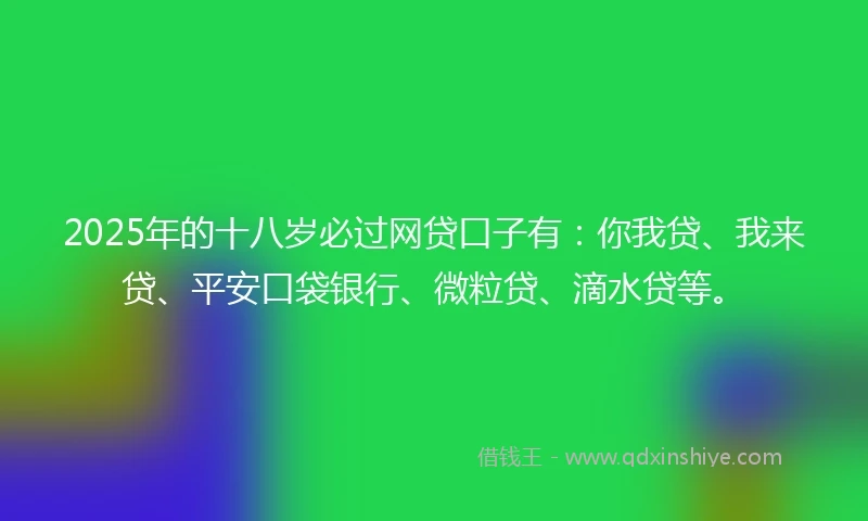 2025年的十八岁必过网贷口子有：你我贷、我来贷、平安口袋银行、微粒贷、滴水贷等。