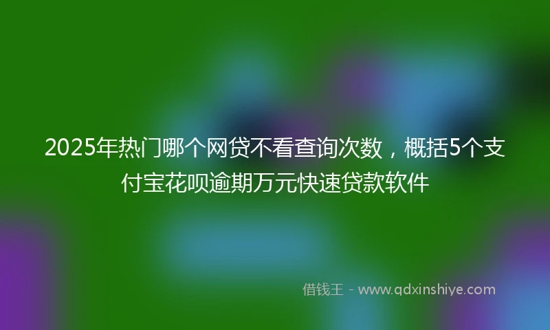 2025年热门哪个网贷不看查询次数,概括5个支付宝花呗逾期万元快速贷款软件