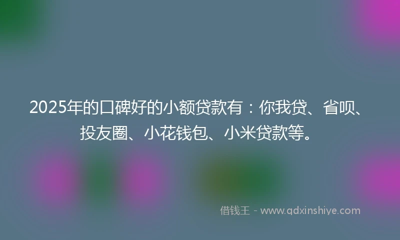 2025年的口碑好的小额贷款有：你我贷、省呗、投友圈、小花钱包、小米贷款等。