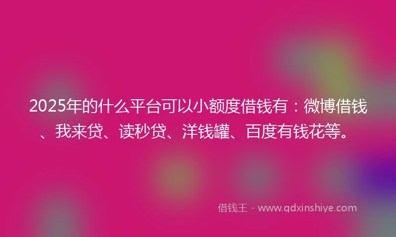 2025年的什么平台可以小额度借钱有：微博借钱、我来贷、读秒贷、洋钱罐、百度有钱花等。