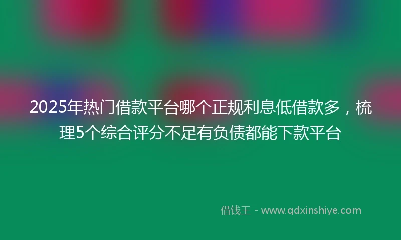 2025年热门借款平台哪个正规利息低借款多,梳理5个综合评分不足有负债都能下款平台