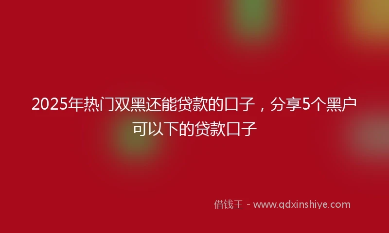 2025年热门双黑还能贷款的口子，分享5个黑户可以下的贷款口子