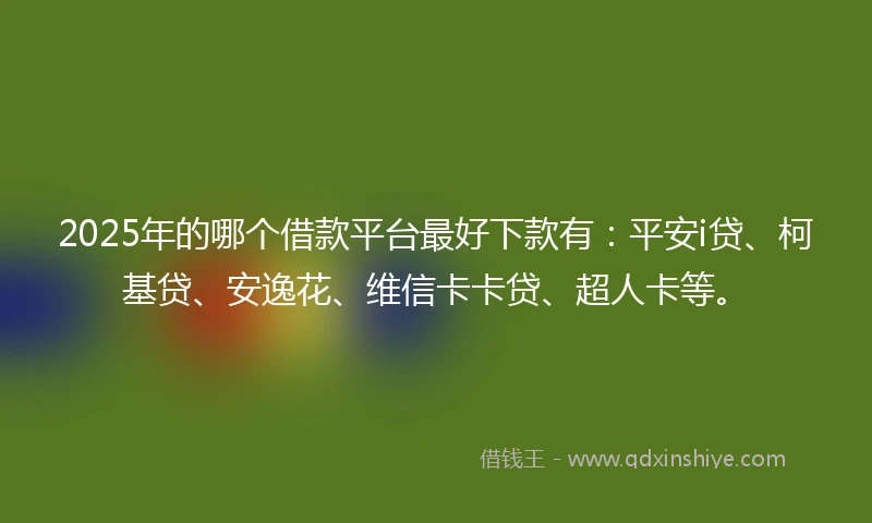 2025年的哪个借款平台最好下款有：平安i贷、柯基贷、安逸花、维信卡卡贷、超人卡等。