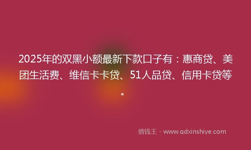 2025年的双黑小额最新下款口子有：惠商贷、美团生活费、维信卡卡贷、51人品贷、信用卡贷等。