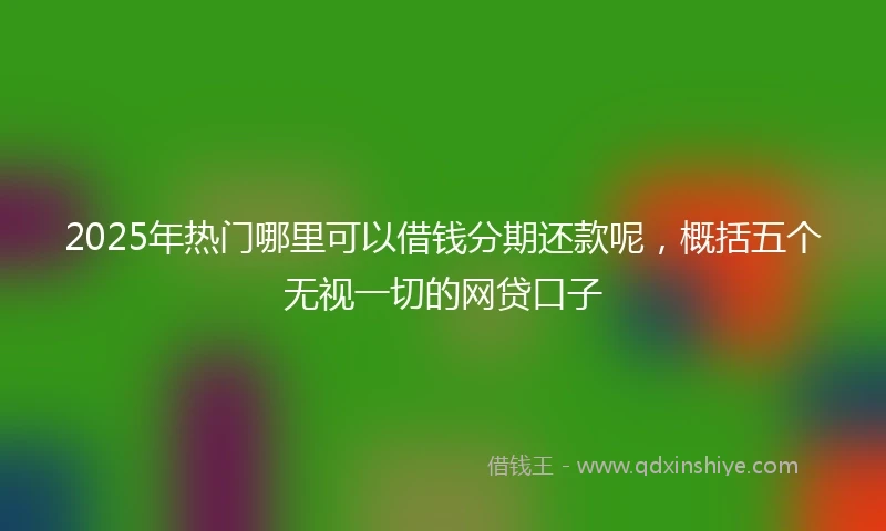 2025年热门哪里可以借钱分期还款呢，概括五个无视一切的网贷口子