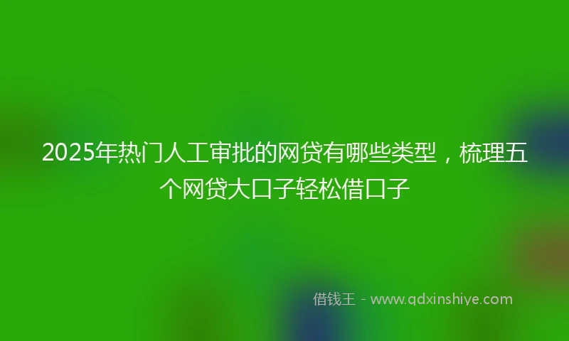 2025年热门人工审批的网贷有哪些类型，梳理五个网贷大口子轻松借口子