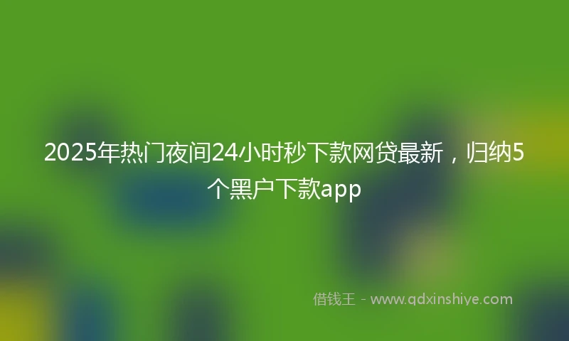 2025年热门夜间24小时秒下款网贷最新，归纳5个黑户下款app