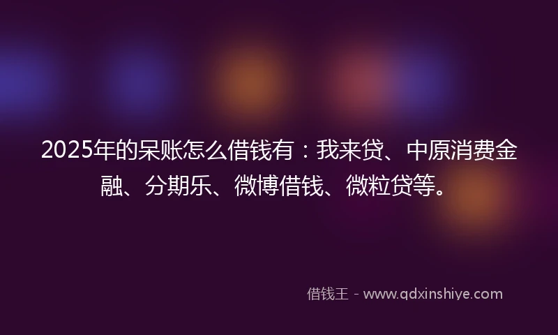 2025年的呆账怎么借钱有：我来贷、中原消费金融、分期乐、微博借钱、微粒贷等。