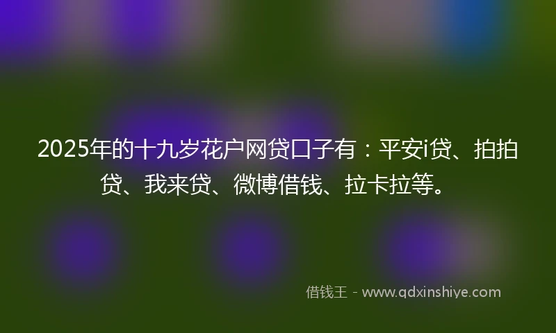 2025年的十九岁花户网贷口子有：平安i贷、拍拍贷、我来贷、微博借钱、拉卡拉等。