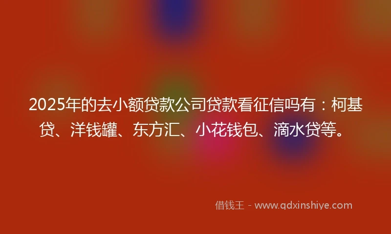 2025年的去小额贷款公司贷款看征信吗有：柯基贷、洋钱罐、东方汇、小花钱包、滴水贷等。