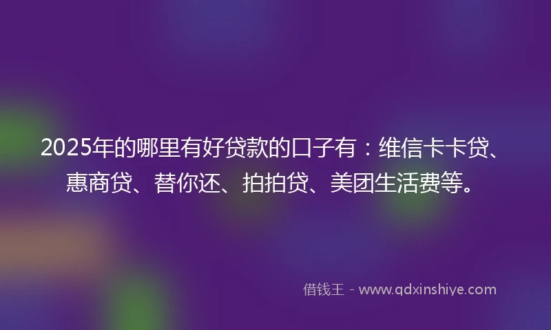 2025年的哪里有好贷款的口子有：维信卡卡贷、惠商贷、替你还、拍拍贷、美团生活费等。