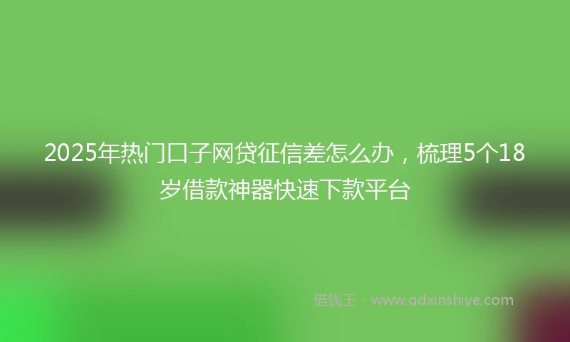 2025年热门口子网贷征信差怎么办，梳理5个18岁借款神器快速下款平台