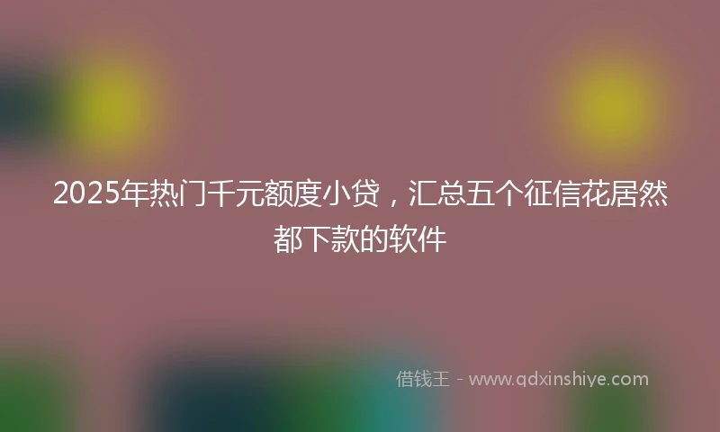 2025年热门千元额度小贷，汇总五个征信花居然都下款的软件