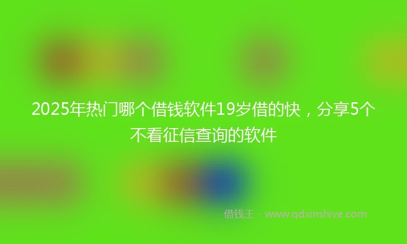 2025年热门哪个借钱软件19岁借的快，分享5个不看征信查询的软件