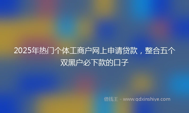 2025年热门个体工商户网上申请贷款,整合五个双黑户必下款的口子