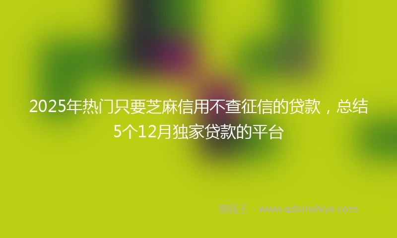 2025年热门只要芝麻信用不查征信的贷款，总结5个12月独家贷款的平台